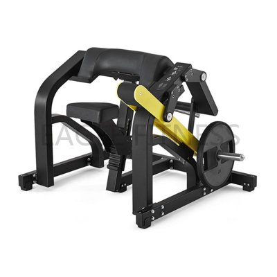 HT-10 Biceps Curl