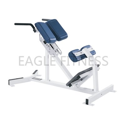 HS-65 Hammer Strength Equipment -Back-Extension