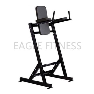 HS-71 Gym-Equipment-Hammer-Strength-Leg-Raise