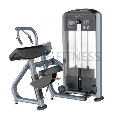 EG-N017 Triceps Extension