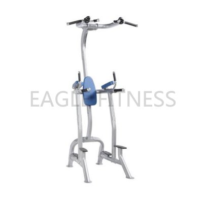 EG-6053 Fitness Tree