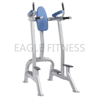 EG-6052 Vertical Knee Raise/Dip