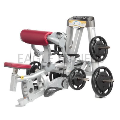 EG-6061 Biceps Curl