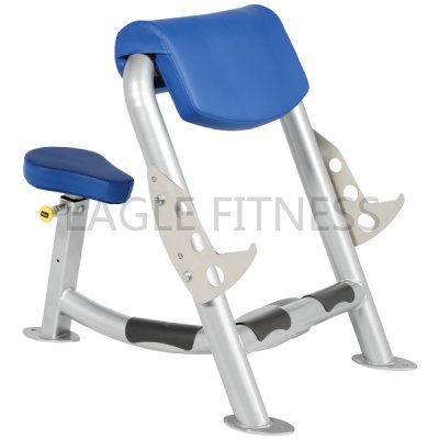 EG-6042 Preacher Curl