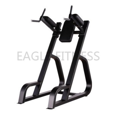 EG-5042 Vertical Knees Up & Dip