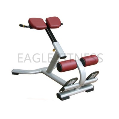 EG-8045 Adjustable Roman Chair