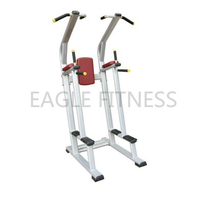 EG-8050 Vertical Knee Raise