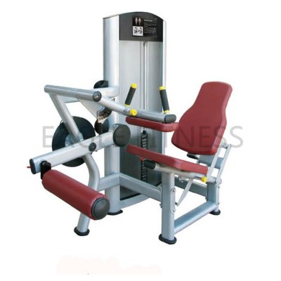 EG-8006 Seated Leg Curl