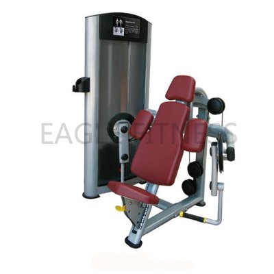 EG-8004 Seated Biceps Curl