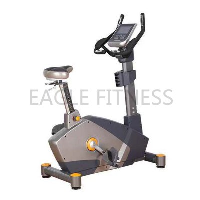 EG-9017 Commercial Upright Bike