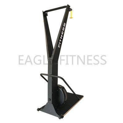 EG-9022 Ski Trainer