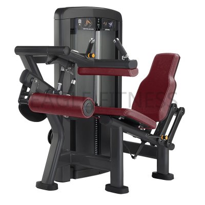 EGN-8017 Seated Leg Curl