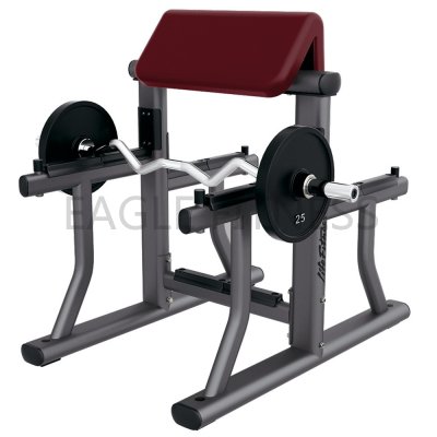 EGN-8040 Preacher Curl