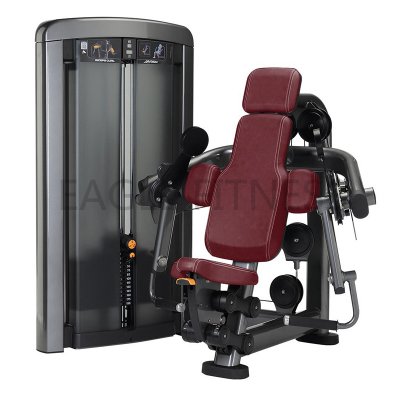 EGN-8004 Seated Biceps Curl