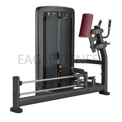 EGN-8012 Hip extension